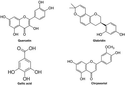 Robust therapeutic effects on COVID-19 of novel small molecules: Alleviation of SARS-CoV-2 S protein induction of ACE2/TMPRSS2, NOX2/ROS, and MCP-1